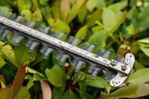 HSA56-nozyce zdjęcie 1.jpg