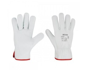 Zrzut ekranu 2025-05-08 094725.jpg